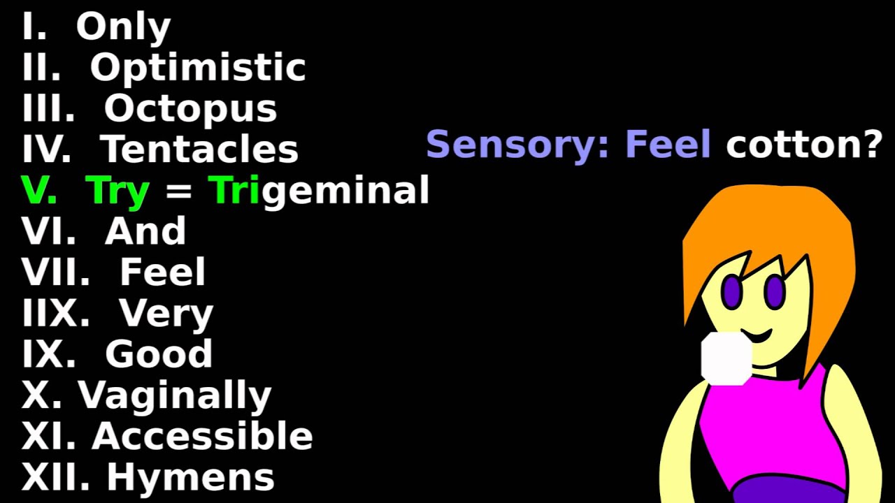 12 Cranial Nerves Mnemonic: Dirty Tricks to Remember
