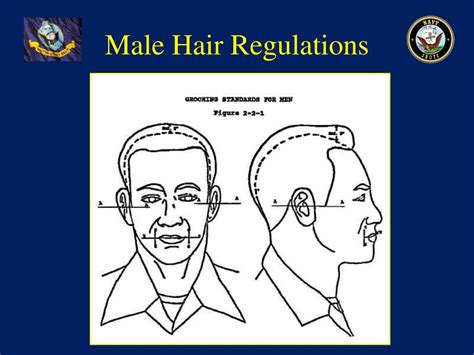 27 Navy Hair Regulations Liviabrendyn 27 Navy Hair Regulations Liviabrendyn