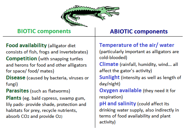 Abiotic And Biotic Components Of Ecosystem Environment Abiotic And Biotic Components Of Ecosystem Environment