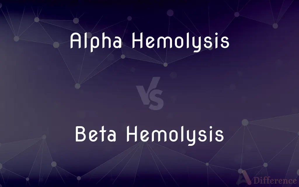 Alpha Hemolysis Vs Beta Hemolysis Alpha Hemolysis Vs Beta Hemolysis