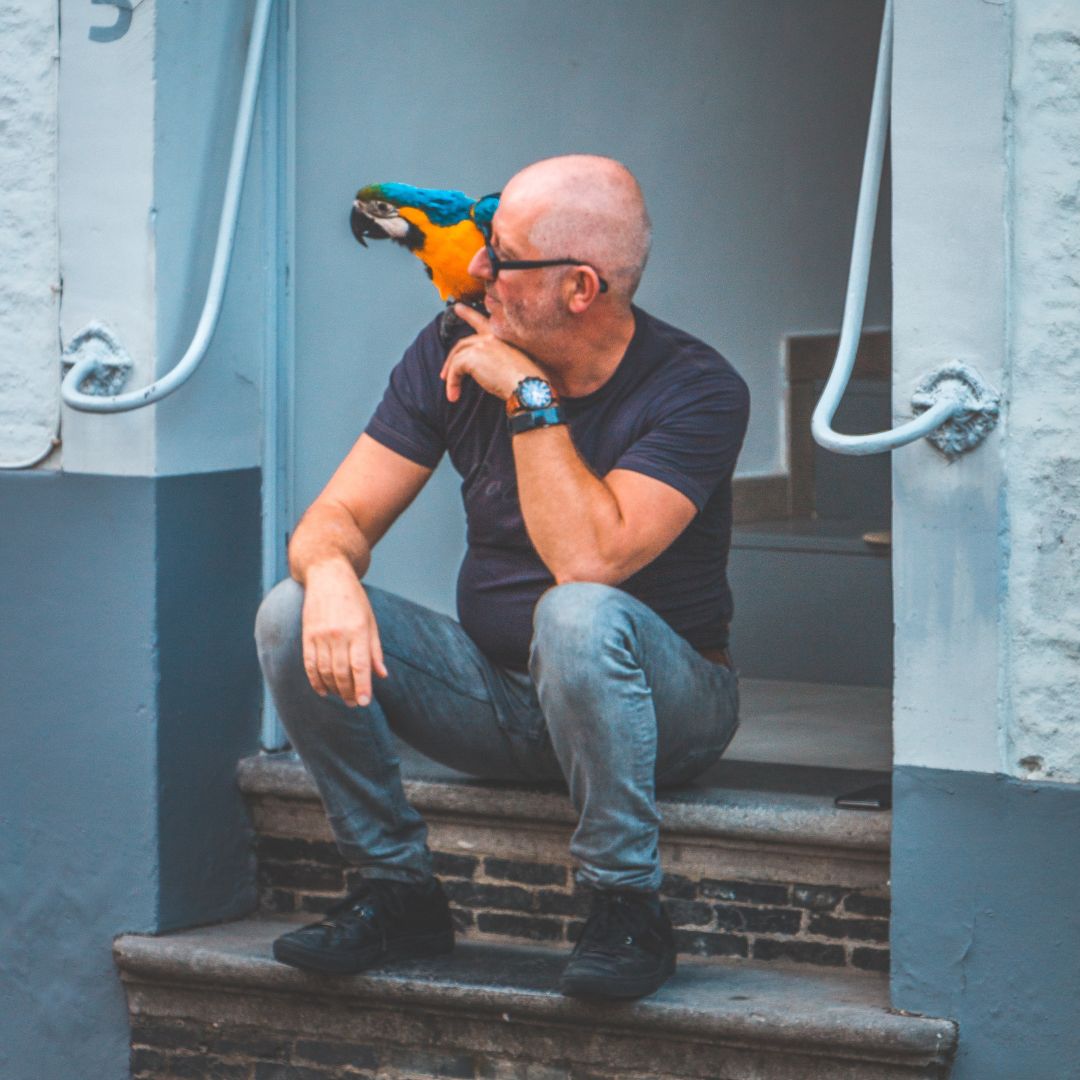 Animal Supply Company On Linkedin Happy National Pet Bird Day Birds Animal Supply Company On Linkedin Happy National Pet Bird Day Birds