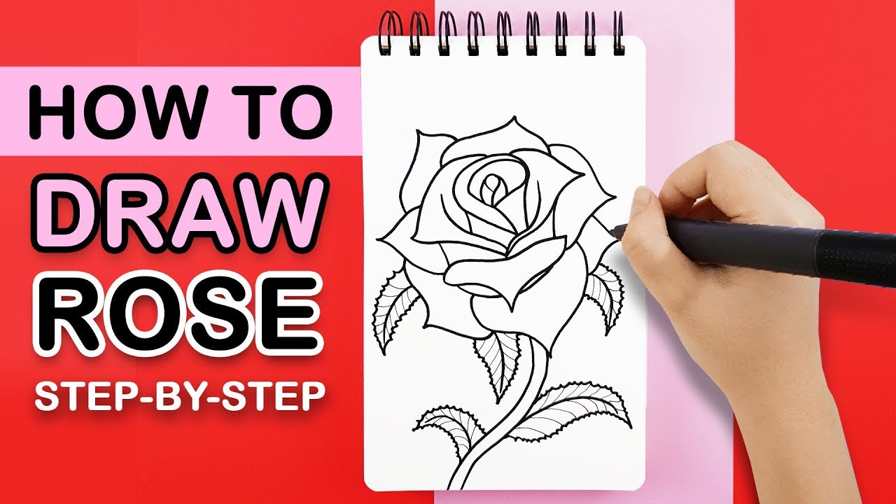 Draw a Beautiful 2D Rose with Stem: Easy Guide