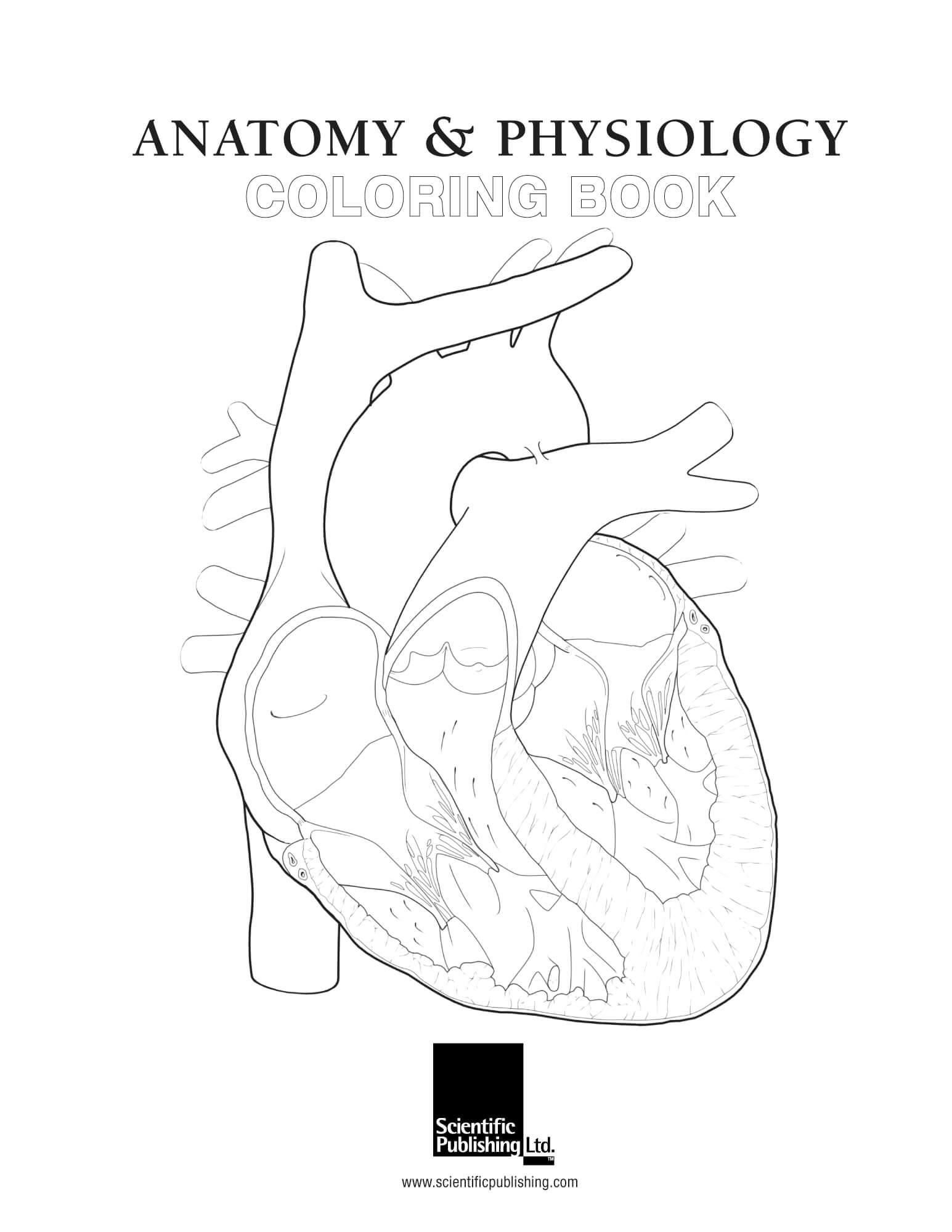 Top 5 Anatomy and Physiology Books for Students and Professionals
