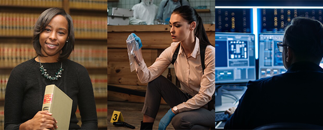 Top 10 Criminal Justice Careers to Pursue Now
