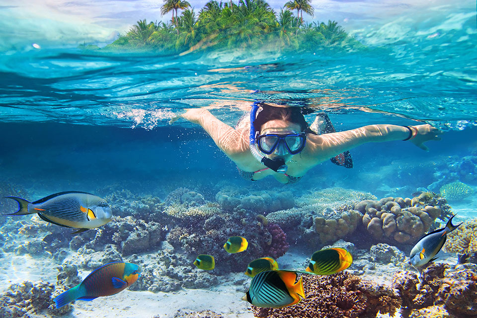 Best Places To Scuba Dive And Snorkel At Dallas Doherty Blog Best Places To Scuba Dive And Snorkel At Dallas Doherty Blog