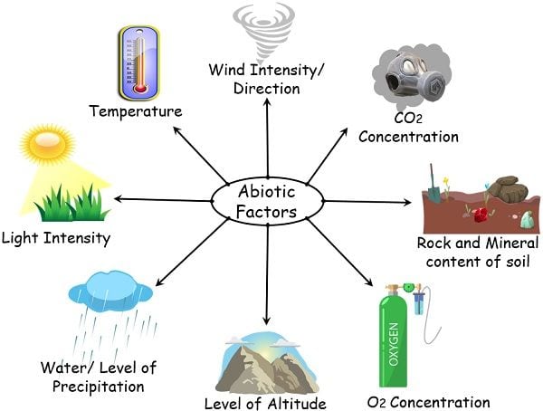 Biotic Components Of Ecosystems — Definition Examples, 48% Off Biotic Components Of Ecosystems — Definition Examples, 48% Off