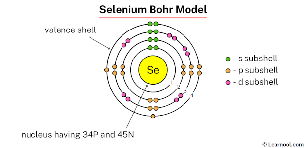 Understanding the Bohr Model of Selenium Atom Structure
