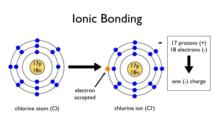Calcium Bohr-Rutherford Diagram Explained Simply