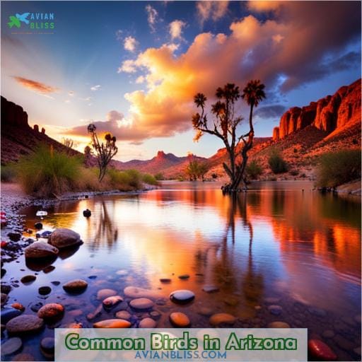 Discover Arizona's Common Birds: A Guide to Feathered Friends