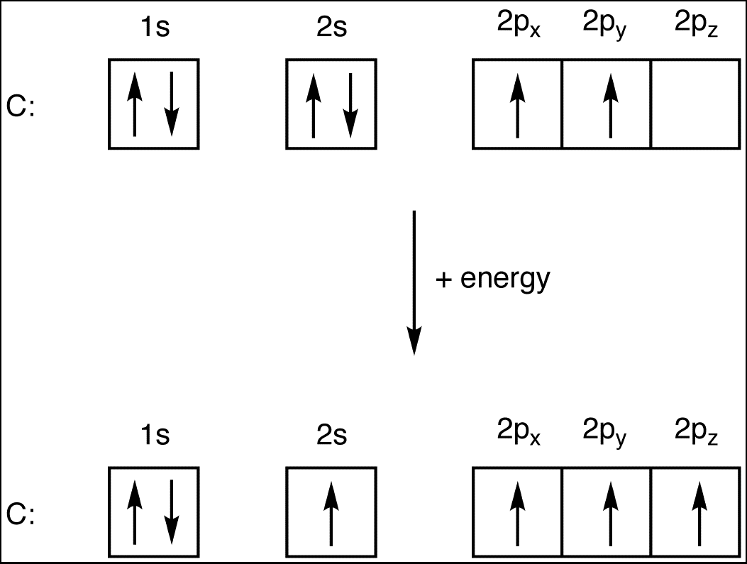 Carbon Atom Electron Configuration Explained Simply Carbon Atom Electron Configuration Explained Simply