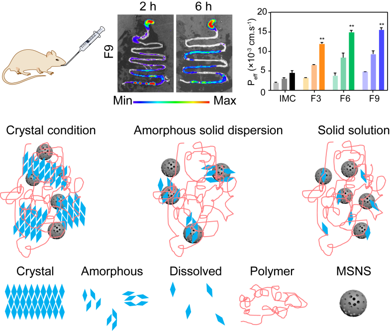 Evaluation Of The Solid Dispersion System Engineered From Mesoporous Silica And Polymers For The Poorly Water Soluble Drug Indomethacin In Vitro And In Vivo Evaluation Of The Solid Dispersion System Engineered From Mesoporous Silica And Polymers For The Poorly Water Soluble Drug Indomethacin In Vitro And In Vivo