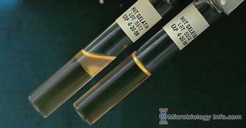 Gelatin Hydrolysis Test Gelatin Hydrolysis Test