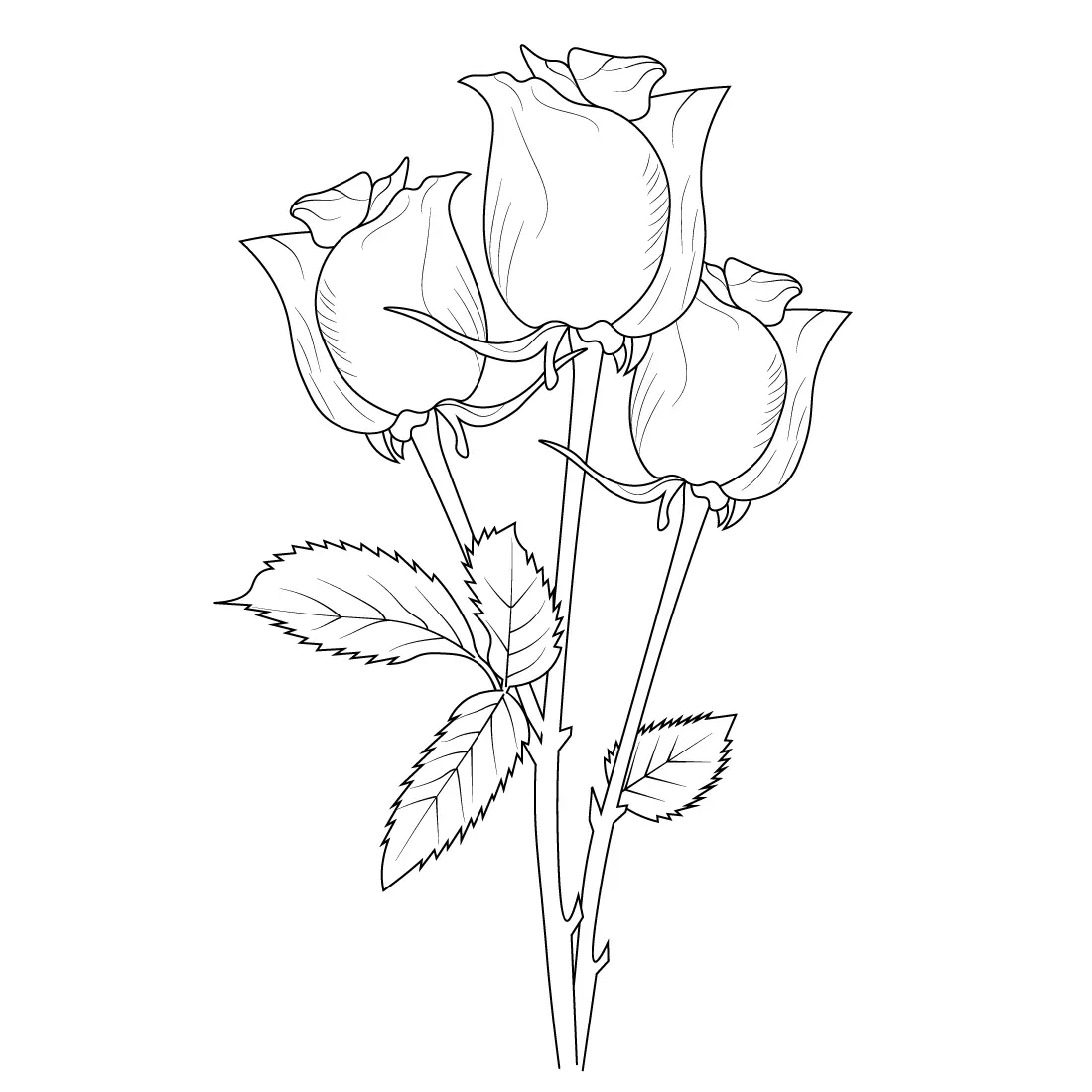 How To Draw A Rose The Ultimate Guide And 27 Beautiful Rose Drawing How To Draw A Rose The Ultimate Guide And 27 Beautiful Rose Drawing