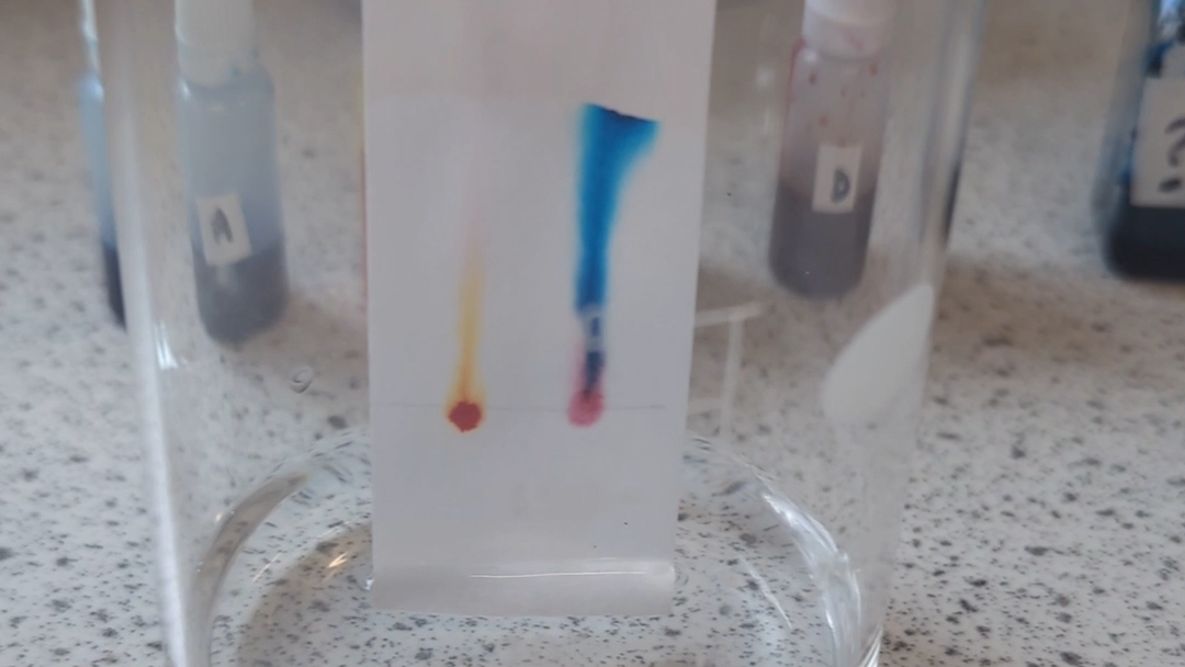How To Set Up Gcse Chemistry Required Practical Chromatography Lablife How To Set Up Gcse Chemistry Required Practical Chromatography Lablife