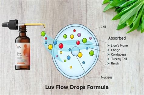 Luv Flow Drops Reviews I Tried Flow Drops Here S My Verdict Luv Flow Drops Reviews I Tried Flow Drops Here S My Verdict