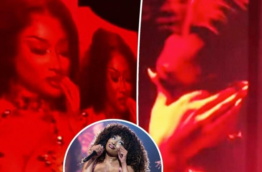 Megan the Stallion AI: Unveiling the Tech Behind the Star