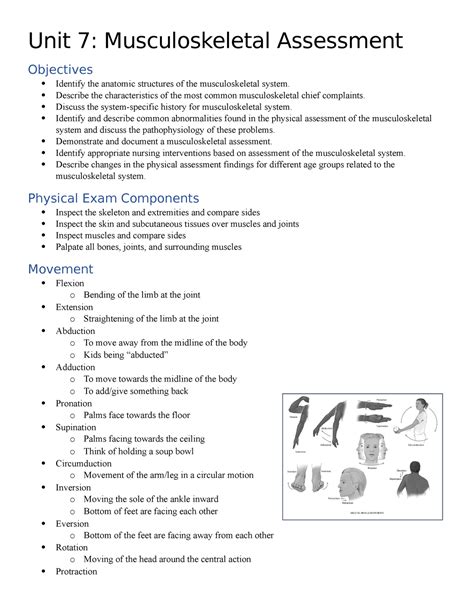 Mastering the Musculoskeletal System Exam: Essential Tips & Tricks