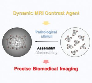 Nanoparticle Based Systems For T1 Weighted Magnetic Resonance Imaging Contrast Agents Nanoparticle Based Systems For T1 Weighted Magnetic Resonance Imaging Contrast Agents