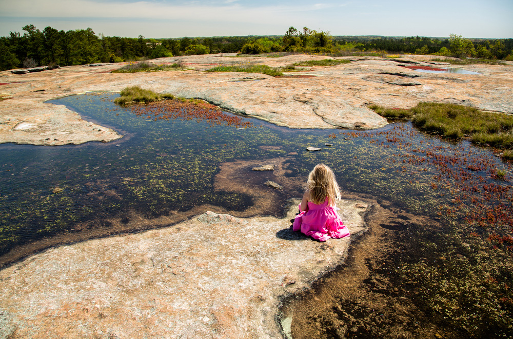 National Park Service Sites In Georgia Not To Miss Official Georgia National Park Service Sites In Georgia Not To Miss Official Georgia