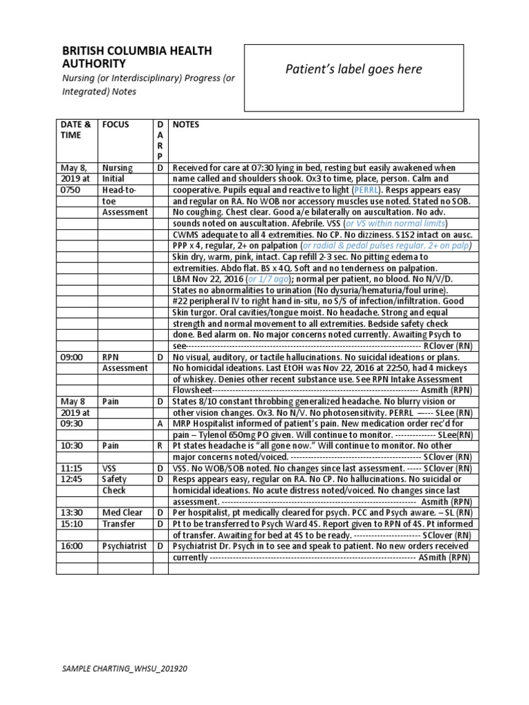 Nurses Notes Narrative Charting Sample Master Of Template Document Nurses Notes Narrative Charting Sample Master Of Template Document