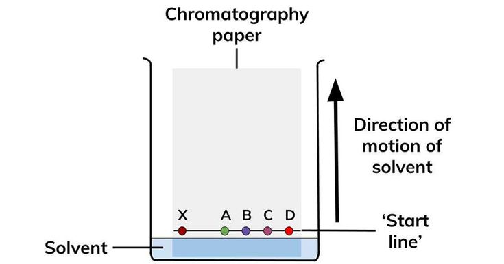 Paper Chromatography Definition Types Principle Steps Uses Paper Chromatography Definition Types Principle Steps Uses