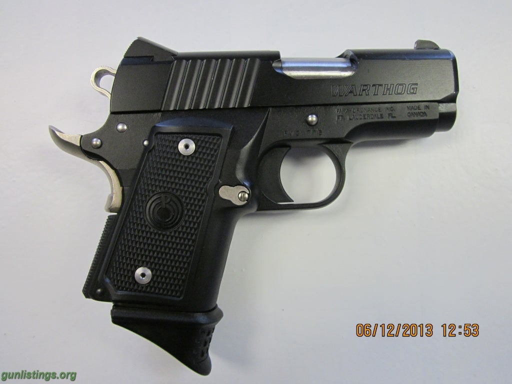 Para Ordnance Warthog: A Comprehensive Review