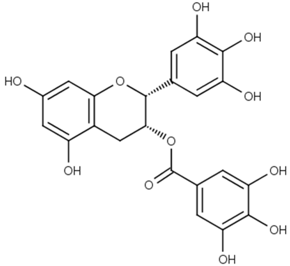 Understanding the Unique Properties of Lipid Polymers