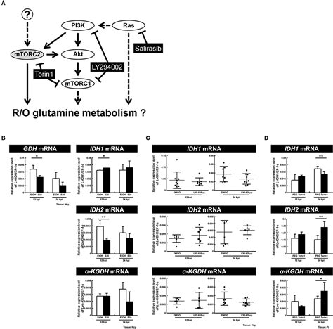 Reductive Glutamine Tracer Perfil Del Proyecto De Investigacion Reductive Glutamine Tracer Perfil Del Proyecto De Investigacion