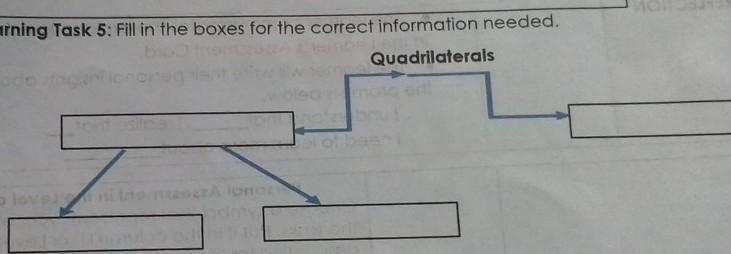 Schematic Diagram Of The Family Of Quadrilaterals Quadrilate Schematic Diagram Of The Family Of Quadrilaterals Quadrilate
