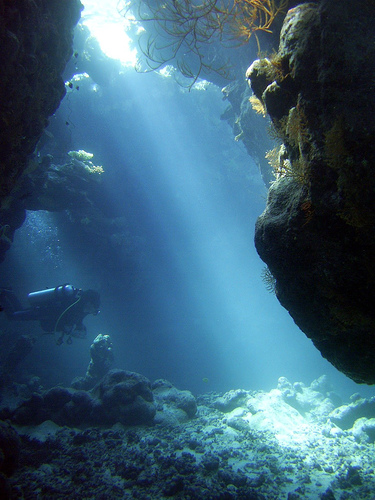 Scuba Diving In Houston Top 10 Scuba Diving Spots In Houston Scuba Diving In Houston Top 10 Scuba Diving Spots In Houston