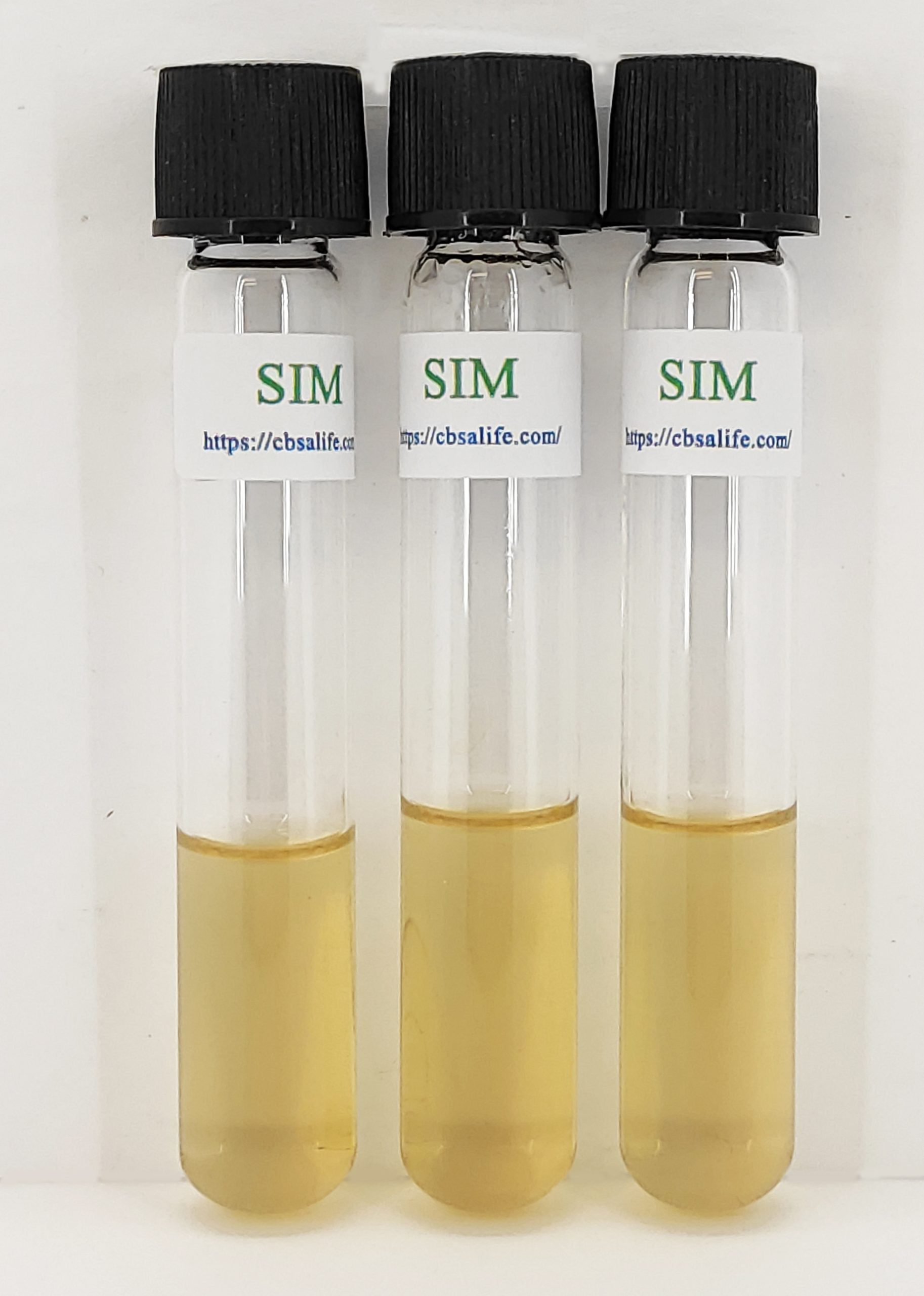 Sulfur Indole Motility Test: Key Insights & Applications