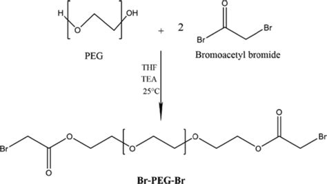 The Bromination Route Of Poly Ethylene Glycol By 2 Bromo Acetyl The Bromination Route Of Poly Ethylene Glycol By 2 Bromo Acetyl