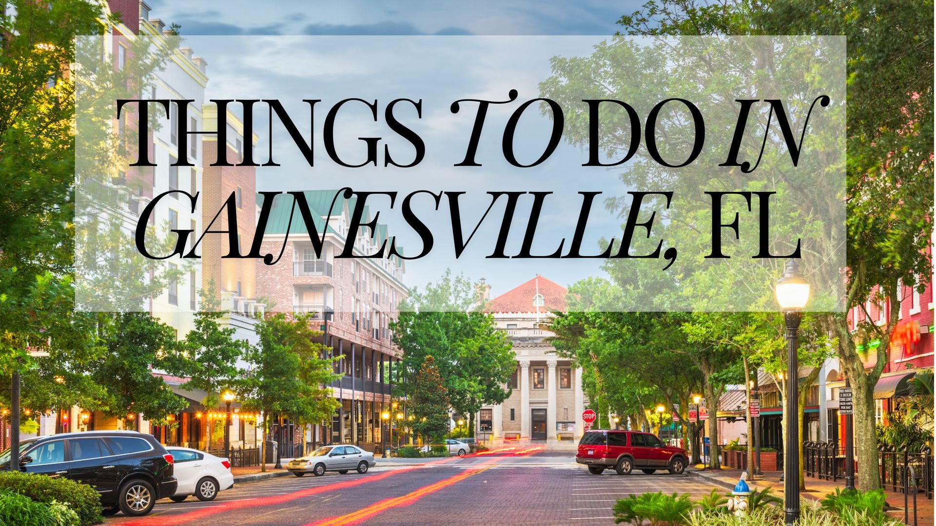 Things To Do In Gainesville Philipweiss