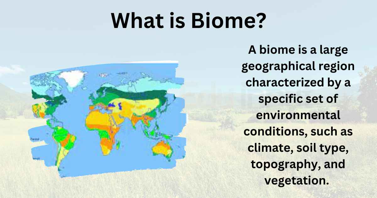 What is True-Breeding in Biology? A Simple Explanation