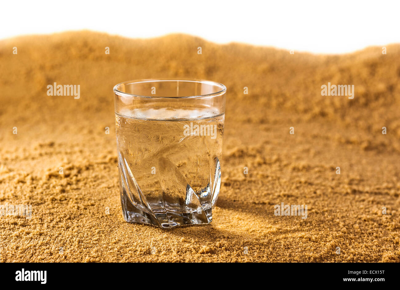 Surviving the Desert: The Crucial Role of Water