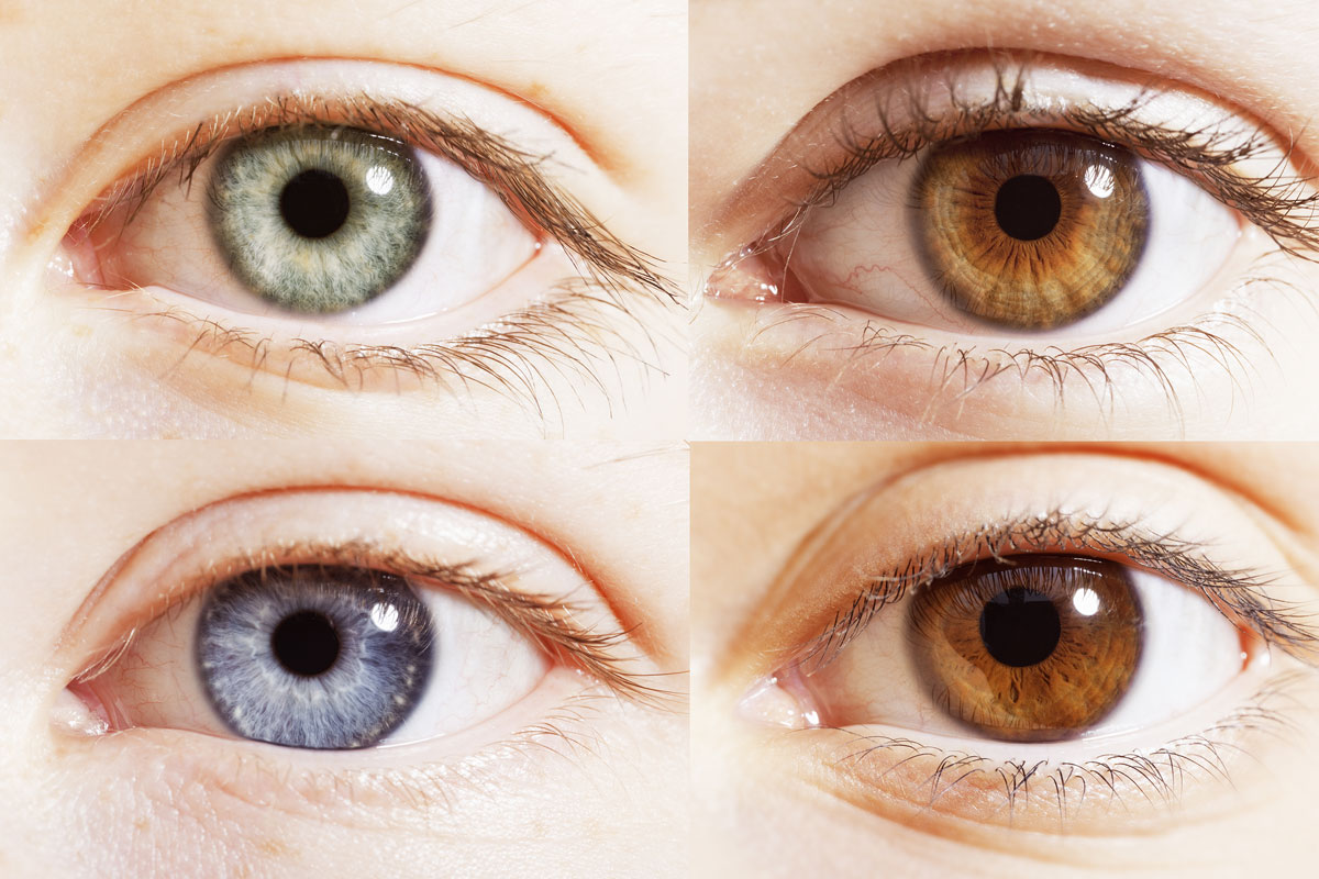 What Is My Eye Colour Smartbuyglasses Nz