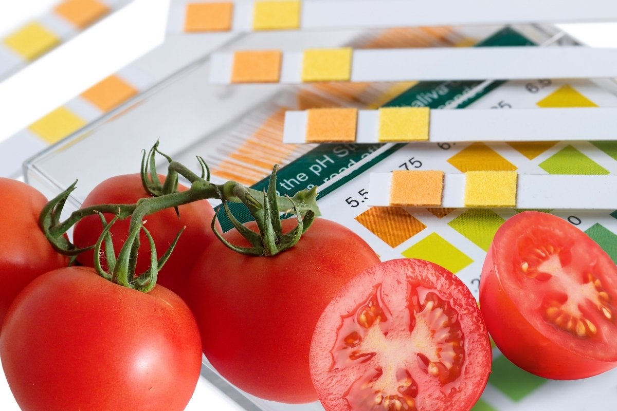 What Is The Ph Of Tomatoes