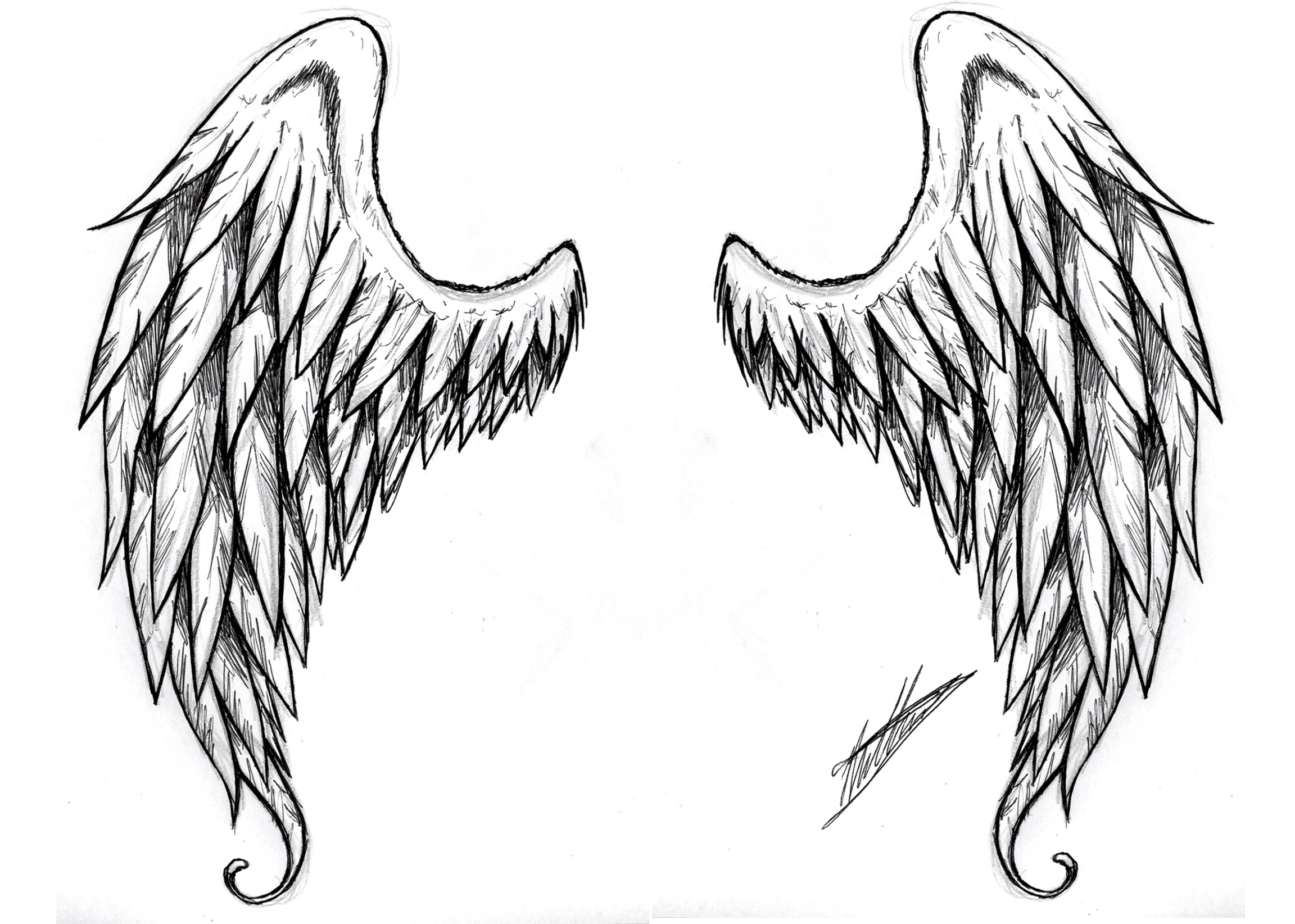 Wing Tattoos For Females Wing Tattoos For Females